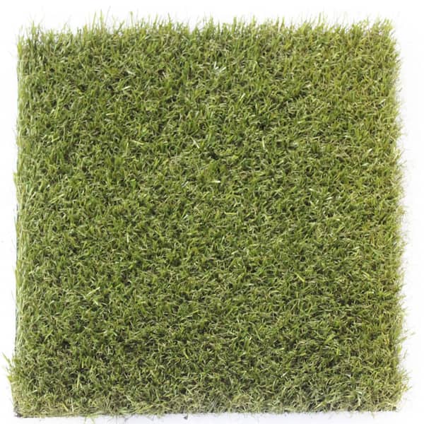 TruGrass Emerald 12 ft. x 75 ft. Artificial Turf Roll
