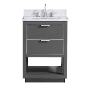 Allie 25 in. W x 22 in. D Bath Vanity in Gray with Silver Trim with Marble Vanity Top in Carrara White with Basin