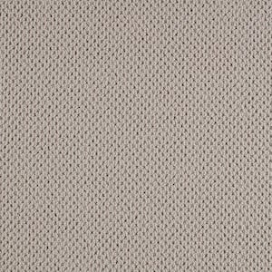 Beyond Cozy - Fresh-Gray 12 ft. 39 oz. Triexta Pattern Installed Carpet