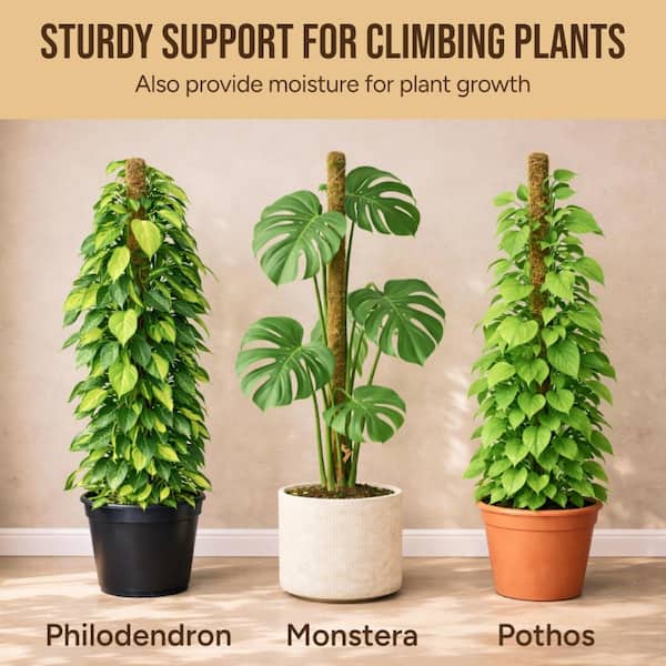 Primehome 48 Inch Bendable Moss Pole Plant Support 2 Pack