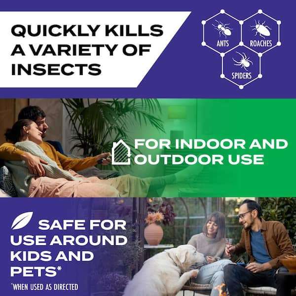 Kills Ants, Roaches and Spiders Plant-Based Active Ingredient Insect Killer, 10 oz.