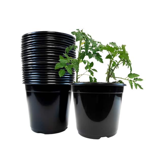 Viagrow 2 Gal. Black Plastic Nursery Pots (24-Pack)