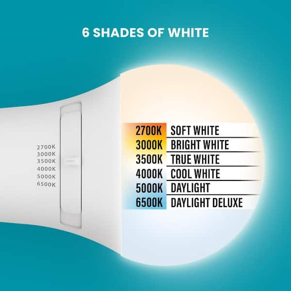 40/60/100-Watt Equivalent A19 Non-Dimmable LED Light Bulb with Selectable Color Temperature 3 Way (2-Pack)
