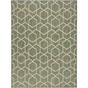 Horizon Green 6 ft. x 9 ft. Indoor/Outdoor All-Over design Contemporary Area Rug