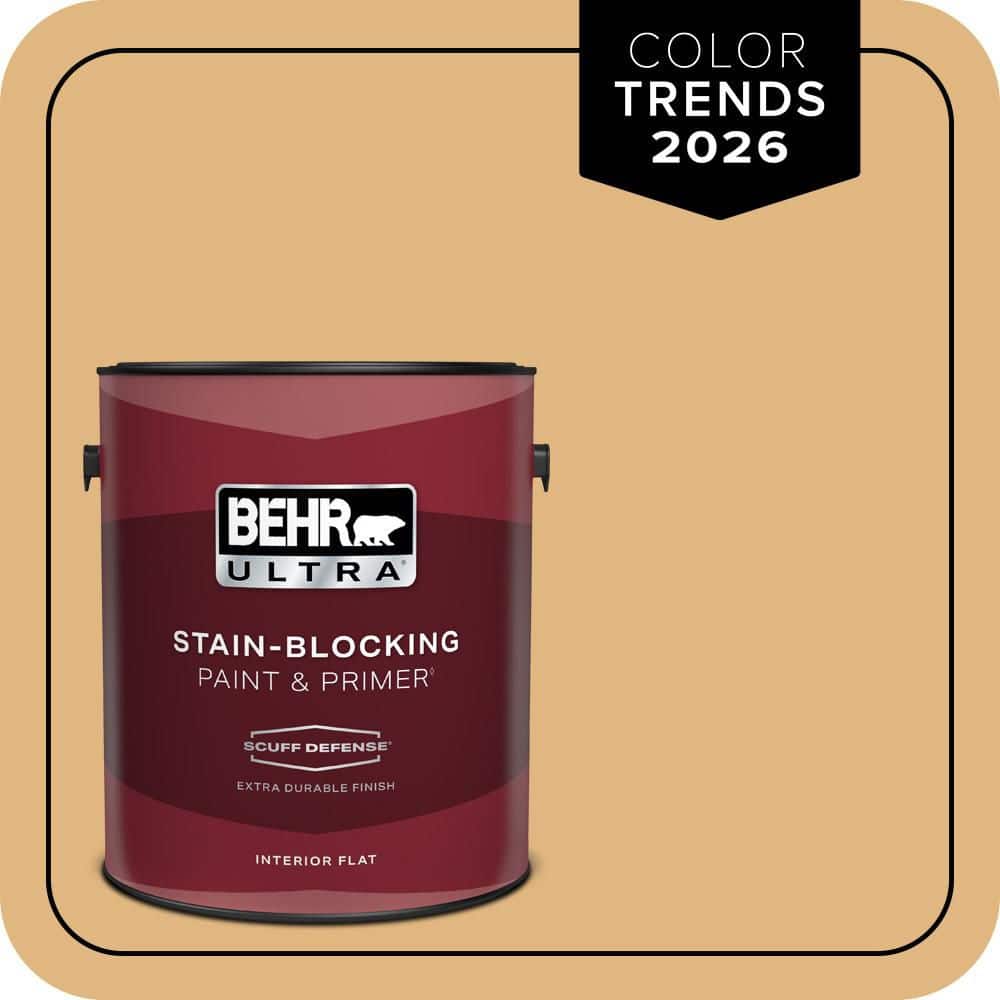 1 gal. #M270-5 Beehive Extra Durable Flat Interior Paint & Primer price history on PriceWatchPro
