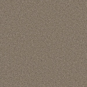 Trendy Threads Plus III - Desert - Beige 60 oz. SD Polyester Texture Installed Carpet