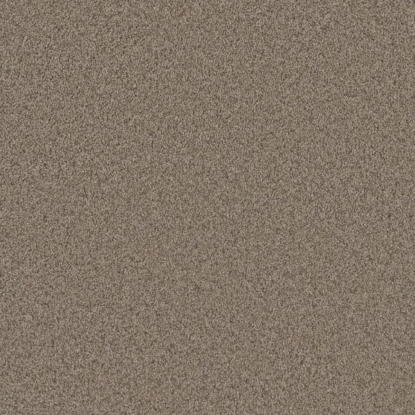 Home Decorators Collection Trendy Threads Plus III - Desert - Beige 60 oz. SD Polyester Texture Installed Carpet