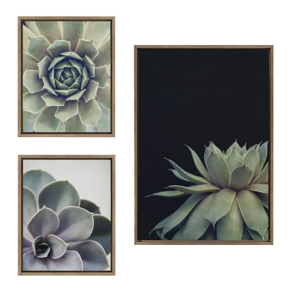 Kate and Laurel Succulent 8, Succulent 1 and Succulent 5 by F2 Images Framed Nature Canvas Wall Art Print 33 in. x 23 in. (Set of 2)