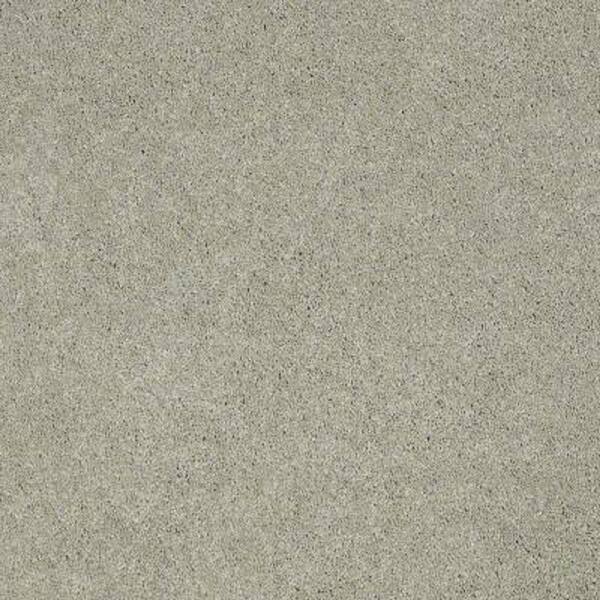 SoftSpring Carpet Sample - Tremendous I - Color Crystal Springs Texture 8 in. x 8 in.