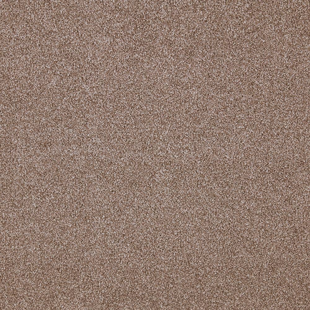 8 in. x 8 in. Texture Carpet Sample - Playful Moments I (T) -Color Misty Mirage price history on PriceWatchPro
