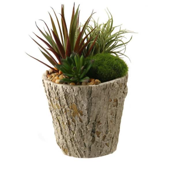 9 in. Indoor Easter Grass and Succulent Artificial Plant in Cement Planter-Natural-Look Faux Plant for Home Styling