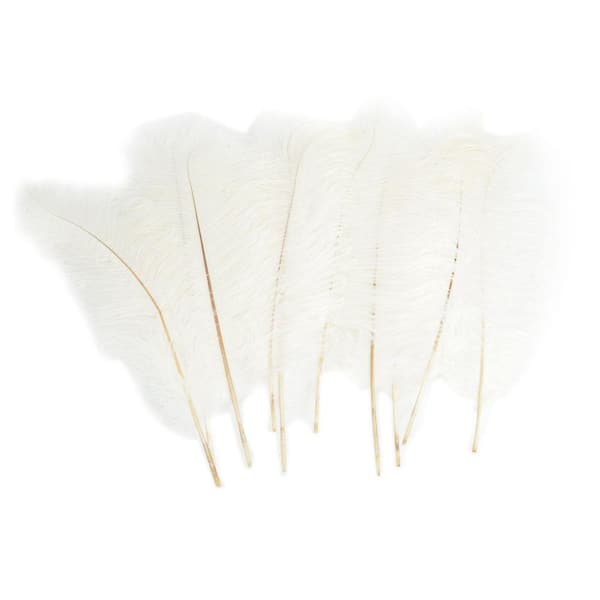 NORTH SUNSHINE LLC White Exquisite Decorative Ostrich Feather (10-Pieces)