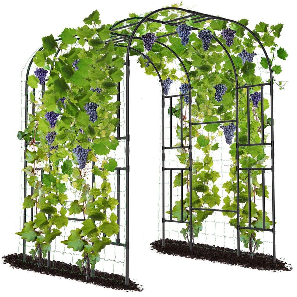 blacks-aboron-garden-trellises