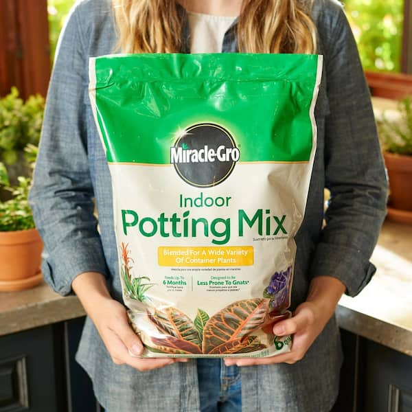 Miracle-Gro Indoor Potting Mix 6 qt. Blended for a Wide Variety of