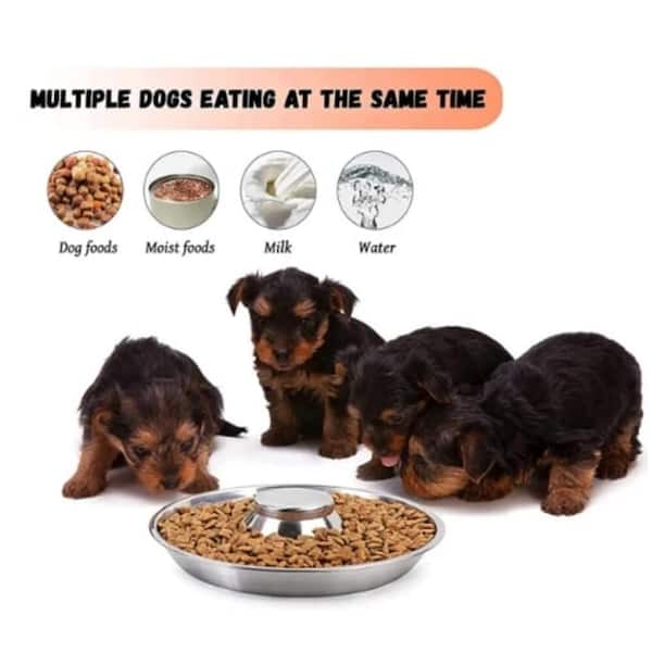 Stainless Steel Non-Slip Rubber Bottom Puppy Dog Bowl Easy to Clean Multi-Dog  Feeding Bowl in Sliver H-D0102HI2MMW - The Home Depot
