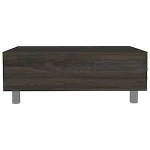 Bernadette 21.4 in. L Espresso 21.4 in. H Rectangle Particle Board Coffee Table with Lift Top and Shelves