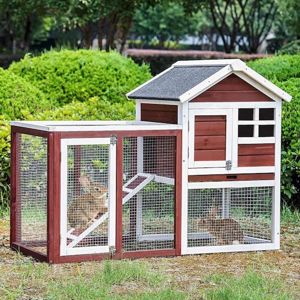 dog house for bunny