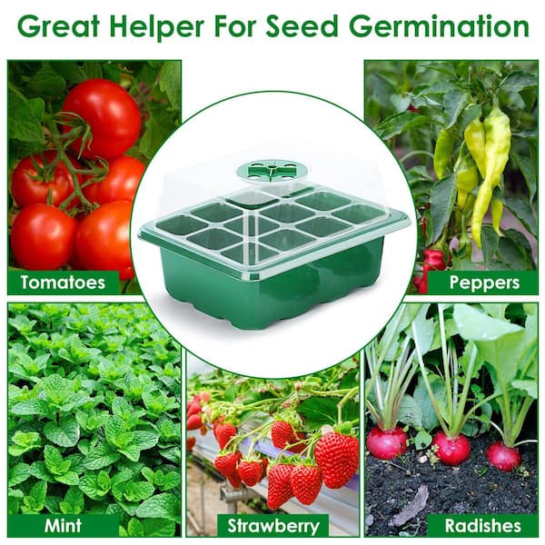 Cisvio 10pcs Seed Starter Tray Kit Reusable Overall 120Cells Seeding Propagator Station Greenhouse Growing Germination Tray