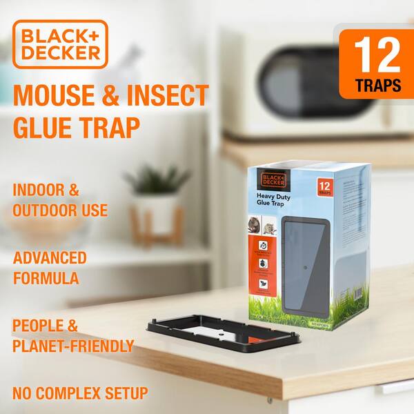  Catchmaster Max-Catch Mouse & Insect Glue Trap 36PK, Mouse  Traps Indoor for Home, Sticky Pest Control Adhesive Tray for Catching Bugs,  Rats & Rodents, Non Toxic Bulk Unscented Glue Boards 