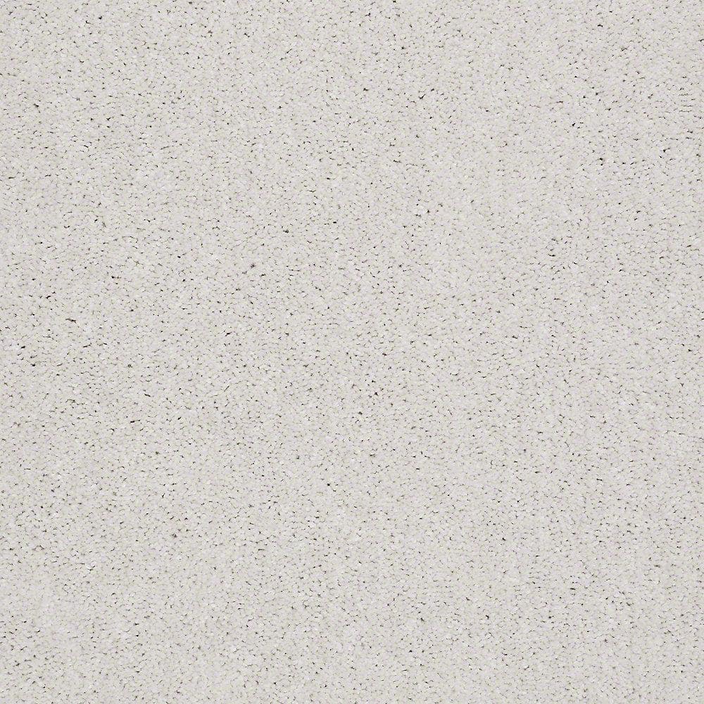 8 in. x 8 in. Texture Carpet Sample - Brave Soul I - Color Delicate price history on PriceWatchPro