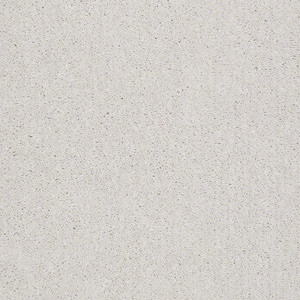 Brave Soul I - Delicate - Beige 34.7 oz. Polyester Texture Installed Carpet