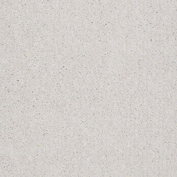 Brave Soul I - Delicate - Beige 15 ft. 34.7 oz. Polyester Texture Carpet - Installation Required