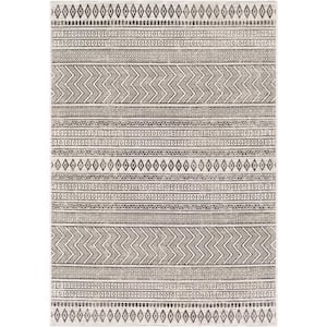 Linon Home Decor Marcy Ivory and Blue 5 ft. W x 7 ft. L Washable Polyester  Indoor/Outdoor Area Rug THDR04041 - The Home Depot