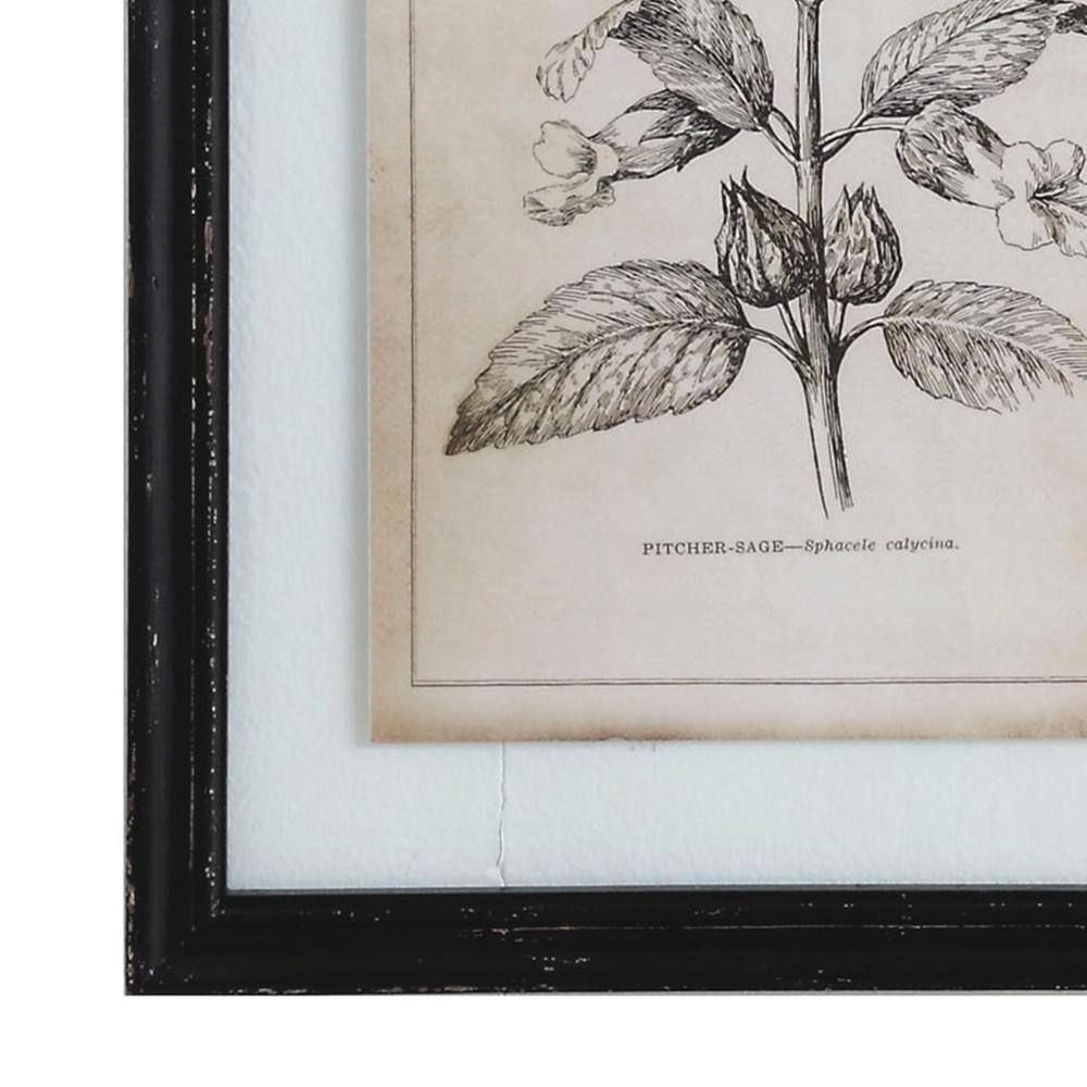 Set of 4 Black Wood Framed Botanical Wall Art Prints