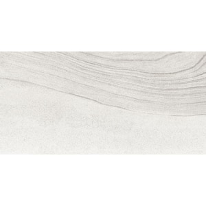 Sandstorm Gobi Matte 11.81 in. x 23.62 in. Porcelain Floor and Wall Tile (11.628 sq. ft. / case)