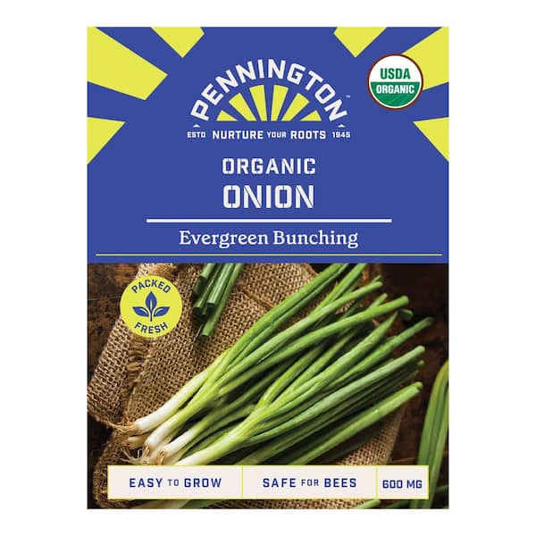 Pennington Organic Onion Evergreen Bunching Vegetable Seed 0810 - The ...