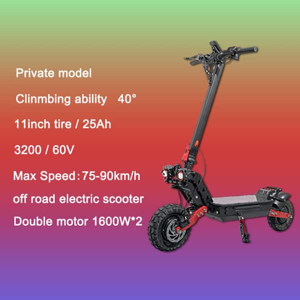Folding Adults off Road Electric Scooter with 60-Volt 3200-Watt Dual Motor,  25AH Lithium Battery and Stronge Tire ZT-W163980996 - The Home Depot