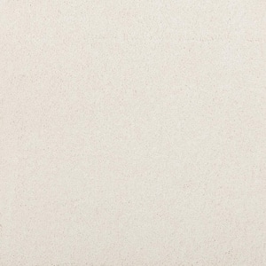 Plush Dreams I - Pearly-Beige 12 ft. 39 oz. Triexta Texture Installed Carpet