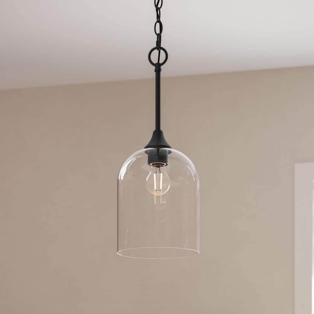 Ilia 60-Watt 1-Light Matte Black Transitional Pendant Light with Clear Glass Shade price history on PriceWatchPro