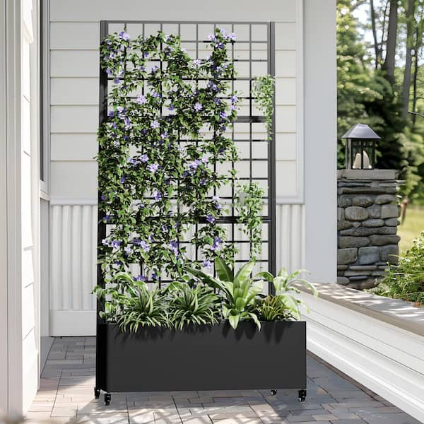 35 in. x 71 in. Black Metal Iron Planter Box with Attached Trellis for Climbing Vegetation