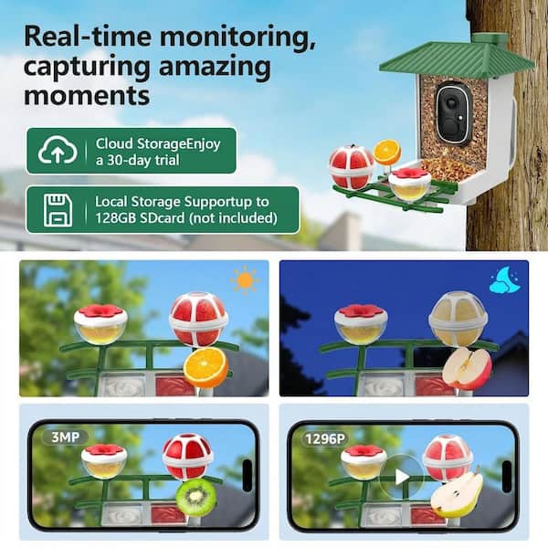 SenQWFa Green Plastic Wall Mount Smart Bird Seed Feeder Camera
