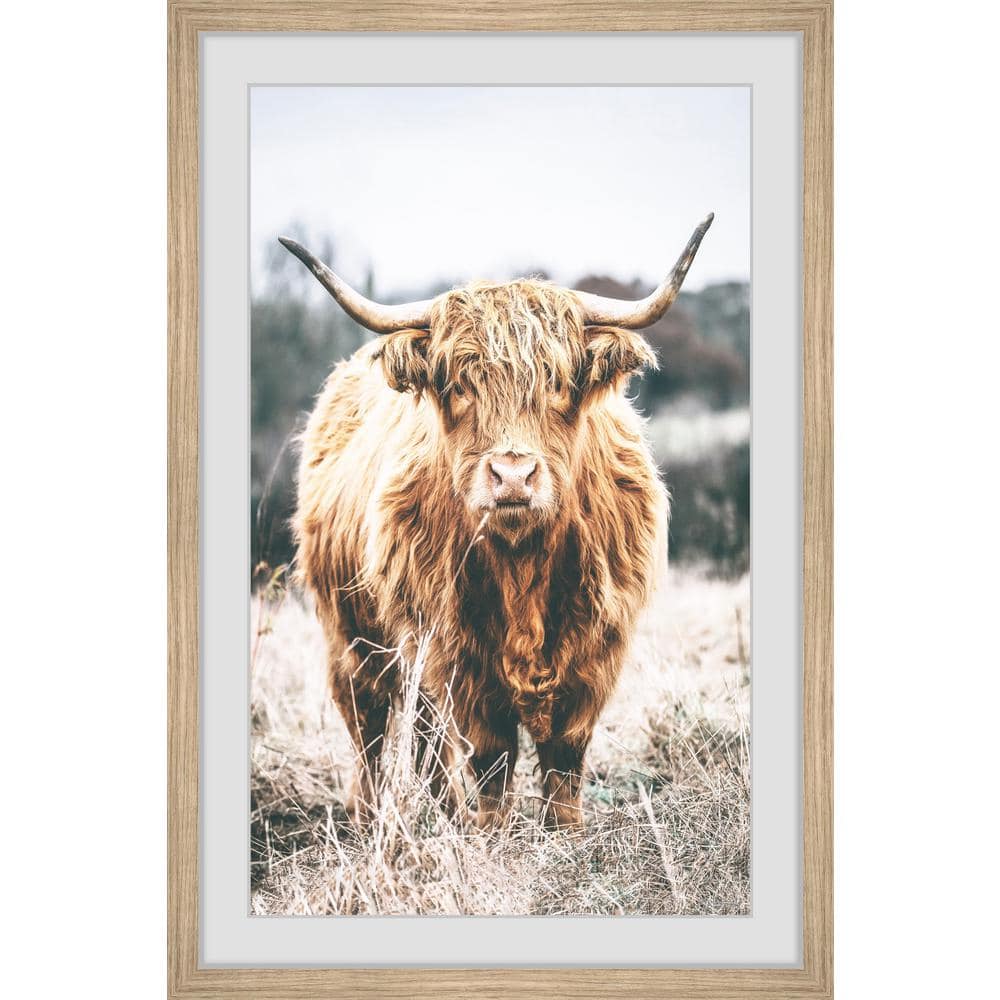 Aesthetic Abstract Highland Cattle - Diamond Painting 