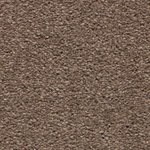 Unblemished I  - Mocha - Brown 45 oz. Triexta Texture Installed Carpet