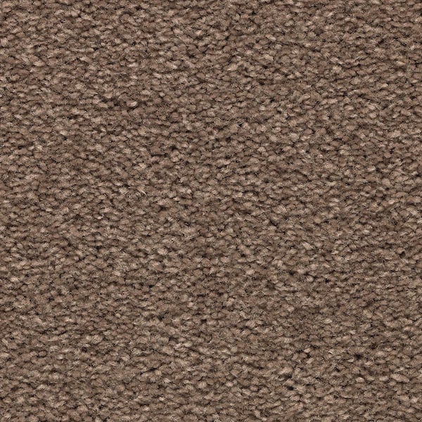 Lifeproof Unblemished II  - Mocha - Brown 55 oz. Triexta Texture Installed Carpet