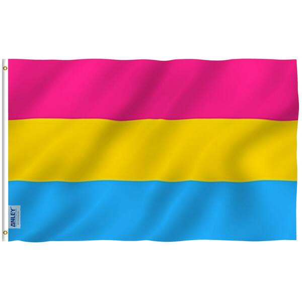 One Dozen Pack THE FLAG JOINT Pansexual Pride 12x18 Stick Flags 