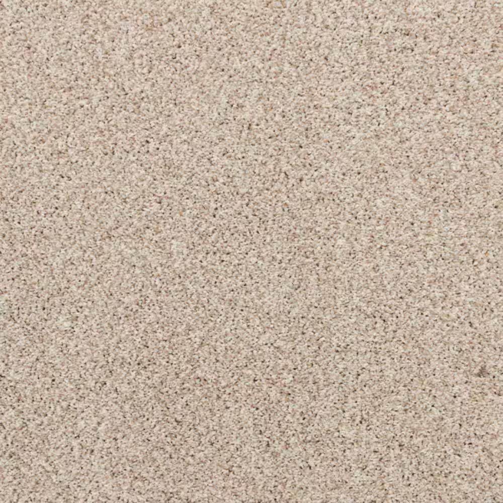 8 in. x 8 in. Texture Carpet Sample-Magalynn II-Color Country Charm price history on PriceWatchPro