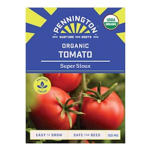 Organic Super Sioux Tomato Fruit Seeds