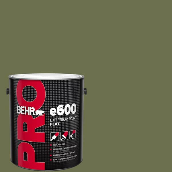 1 gal. #S370-7 Outdoor Oasis Flat Exterior Paint