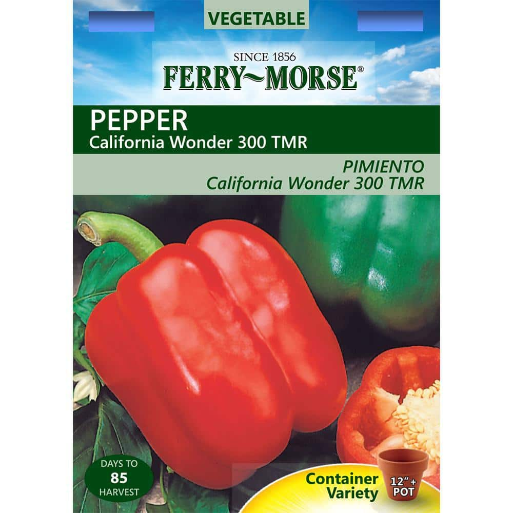 Перец калифорния вондер. California Wonder перец описание. California Wonder Sweet Pepper. Перец сладкий Калифорния Вондер Голд. Перец California Wonder описание отзывы.