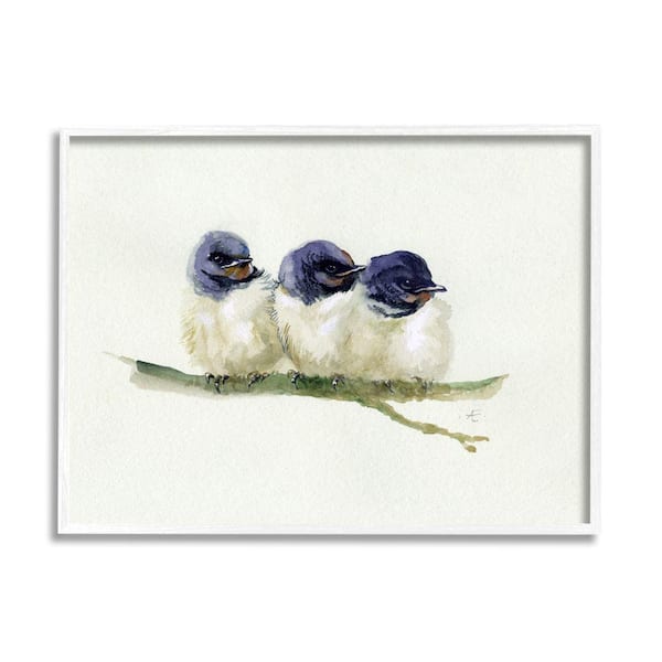 Stupell Industries "Trio of Baby Swallows Birds Perched on Branch" by Verbrugge Watercolor Framed Animal Wall Art Print 16 in. x 20 in.