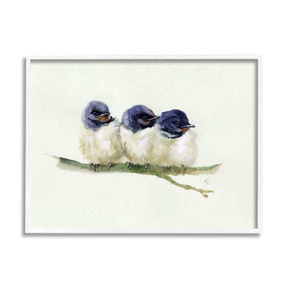 White Framed Trio of Baby Swallows Canvas Print, 24 x 30