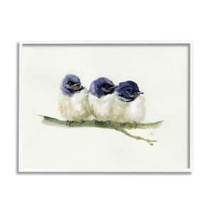 "Trio of Baby Swallows Birds Perched on Branch" by Verbrugge Watercolor Framed Animal Wall Art Print 24 in. x 30 in.