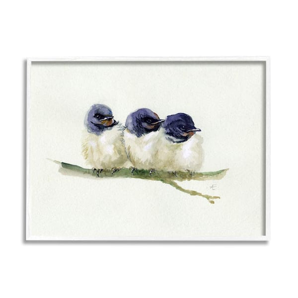 Stupell Industries "Trio of Baby Swallows Birds Perched on Branch" by Verbrugge Watercolor Framed Animal Wall Art Print 24 in. x 30 in.