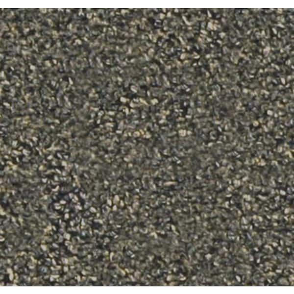 Beaulieu Carpet Sample - Benchmark 22 - In Color Thunder 8 in. x 8 in.