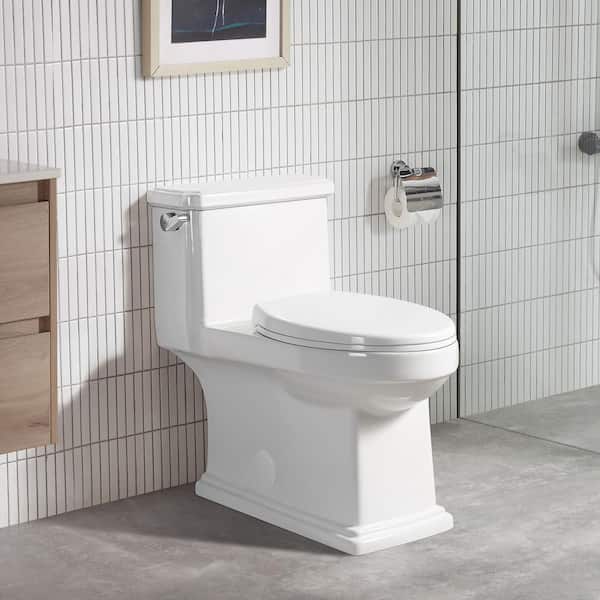 Unbranded 12 in., 1.1/1.6 GPF Dual Flush Elongated Toilet in White Seat Included (1-Piece)