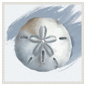 "Sand Dollar" by Lucca Sheppard 1-Piece Floater Frame Giclee Coastal Canvas Art Print 22 in. x 22 in.